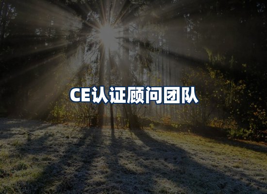 CE认证顾问团队